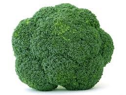 Fibrokistler için Brokoli kürü