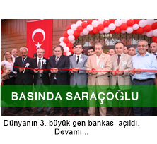 basında saracoglu