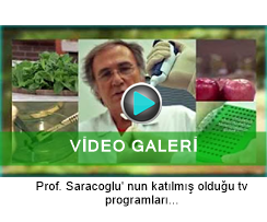 video galeri