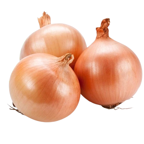so-gan.png (228 KB)