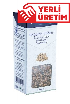 profsaracoglu - Böğürtlen Kökü