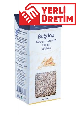 profsaracoglu - Buğday