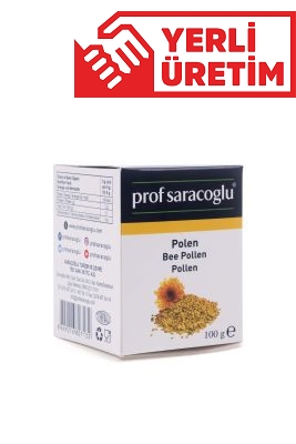 profsaracoglu - Polen