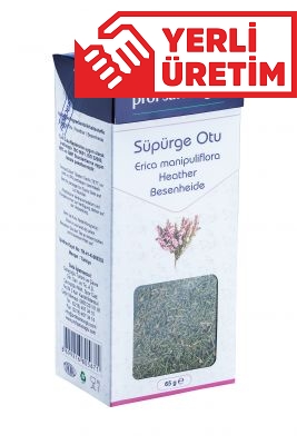 profsaracoglu - Süpürge Otu